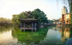 重慶大學 - 我的大學