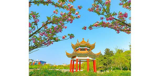 西南政法大學