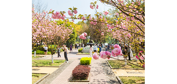 西南政法大學