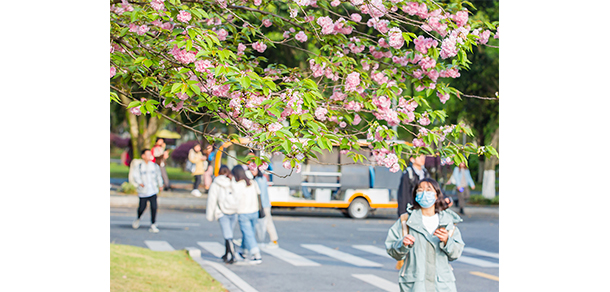西南政法大學