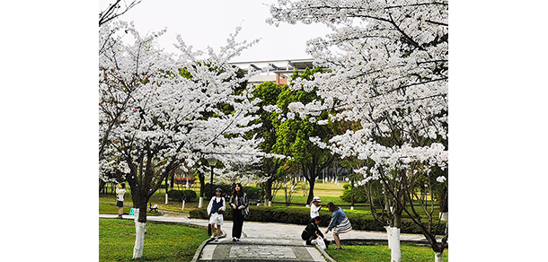 西南政法大學