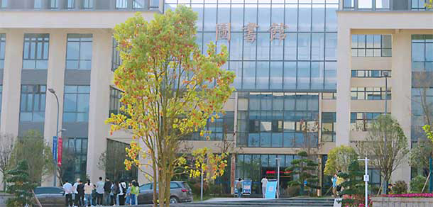 重慶移通學(xué)院