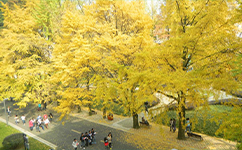 四川農(nóng)業(yè)大學 - 我的大學