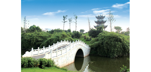 西南醫(yī)科大學