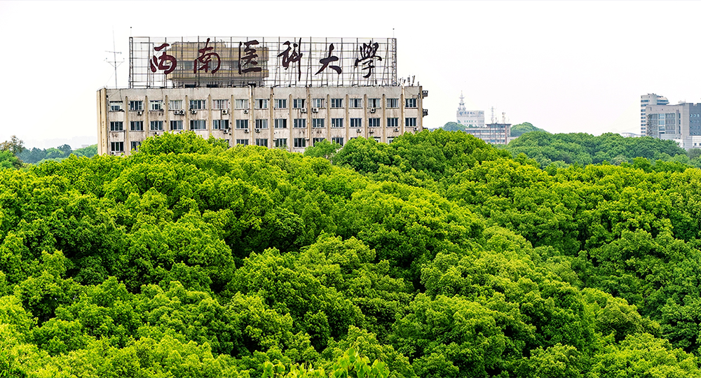 西南醫(yī)科大學(xué)：校名題寫 / ?；赵O(shè)計(jì)