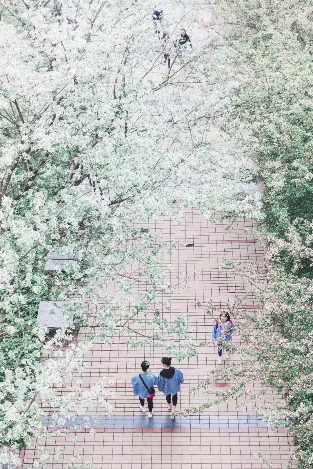 樂山師范學院 早安青春