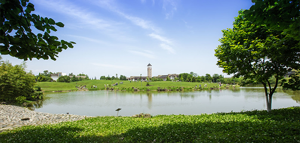 成都東軟學(xué)院