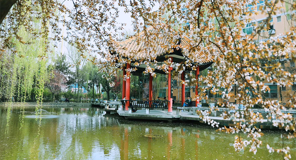 我的大學(xué) - 中國(guó)最美大學(xué)