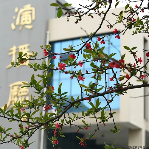 大學(xué)簡(jiǎn)介