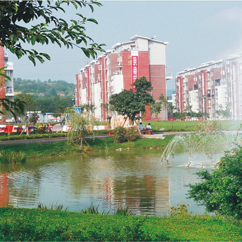 最美大學