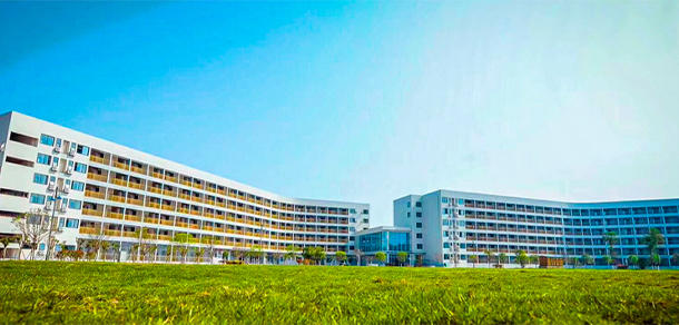 四川文化藝術學院
