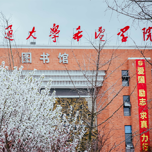 最美大學(xué)