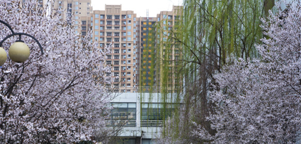 成都師范學院