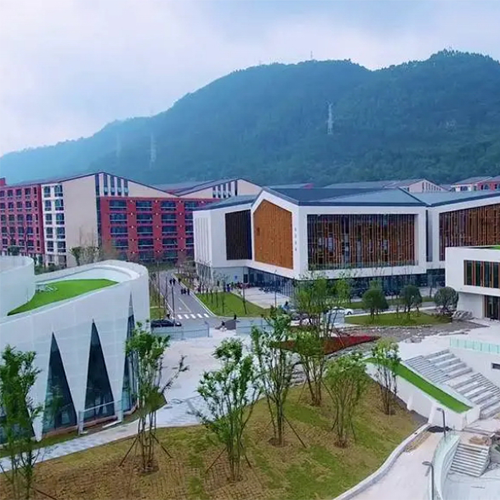 我的大學
