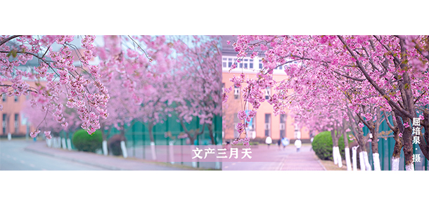 四川文化產(chǎn)業(yè)職業(yè)學(xué)院