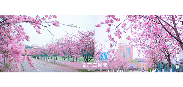 四川文化產(chǎn)業(yè)職業(yè)學(xué)院
