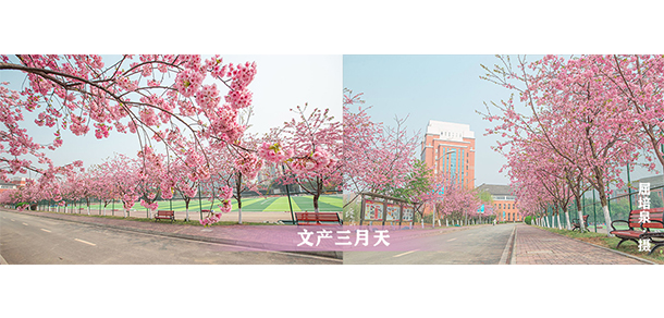 四川文化產(chǎn)業(yè)職業(yè)學(xué)院