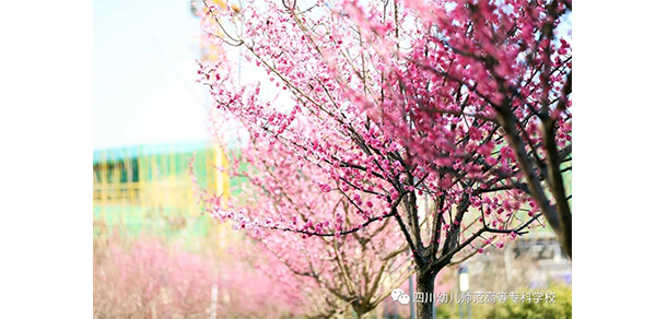 四川幼兒師范高等?？茖W(xué)校