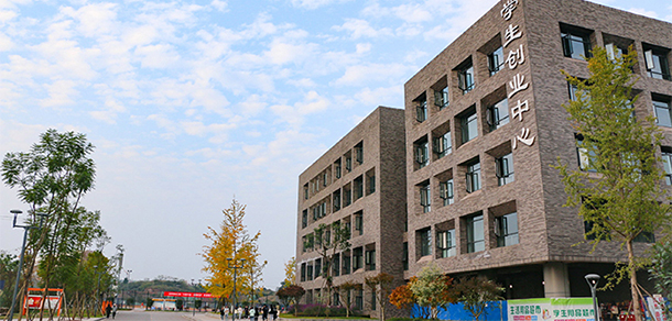 四川衛(wèi)生康復職業(yè)學院