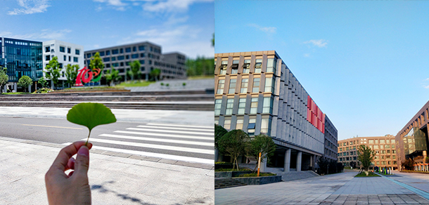 四川衛(wèi)生康復職業(yè)學院