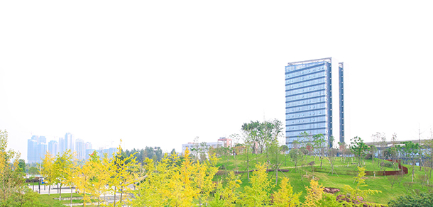 成都工業(yè)職業(yè)技術(shù)學(xué)院