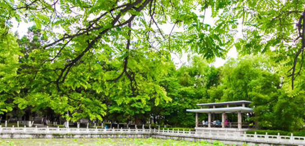 安順學院