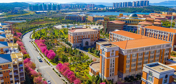 我的大學-大學志