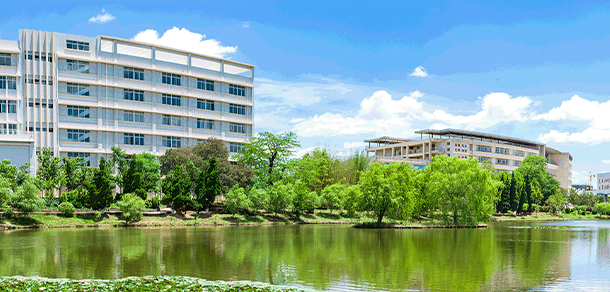 大學校志：校名、校標、校訓、?；?、校旗、校歌