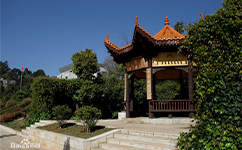 文化標(biāo)識(shí)：校名題寫 / ?；赵O(shè)計(jì)