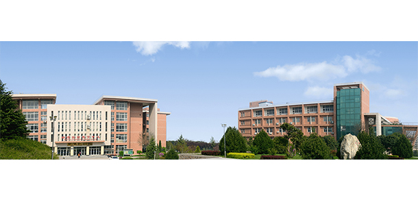 我的大學(xué)-大學(xué)志