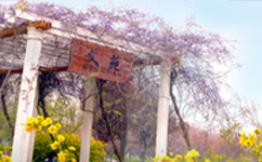 歷史沿革(概)校史