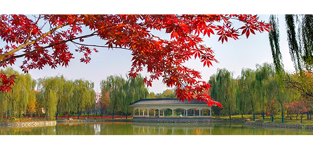 寶雞文理學院