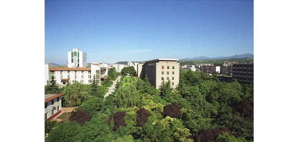 寶雞文理學院