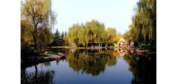 西安文理學(xué)院