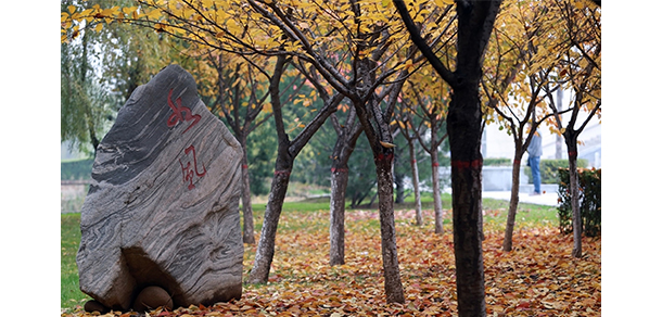 西安郵電大學(xué)