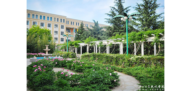 西北大學現(xiàn)代學院