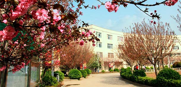 西安財經大學行知學院