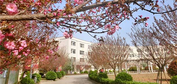 西安財經大學行知學院