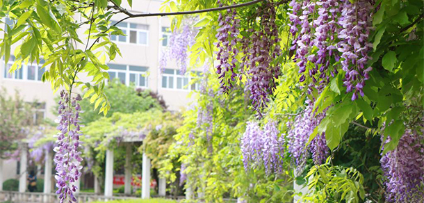 西安財經大學行知學院