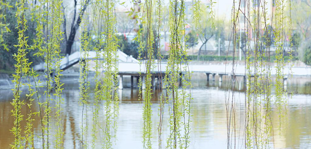 延安大學(xué)西安創(chuàng)新學(xué)院
