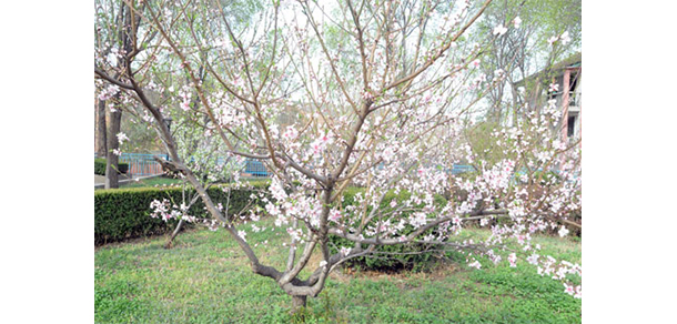 陜西電子信息職業(yè)技術(shù)學(xué)院
