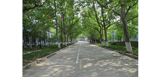 陜西電子信息職業(yè)技術(shù)學(xué)院