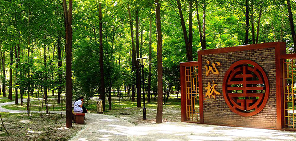 西安醫(yī)學(xué)高等專(zhuān)科學(xué)校