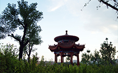 神木職業(yè)技術(shù)學院 - 我的大學