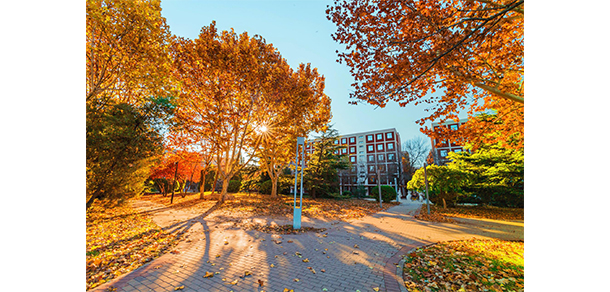 我的大學-大學志