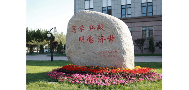 我的大學-大學志