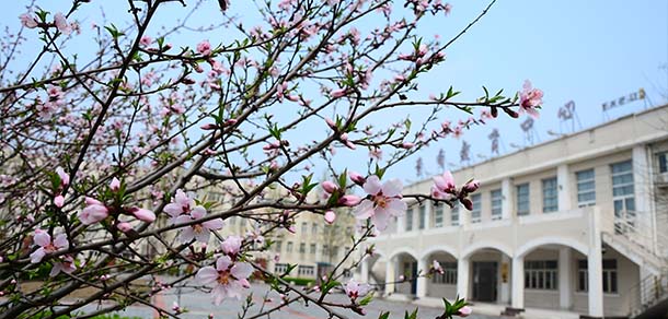 天津財經(jīng)大學珠江學院