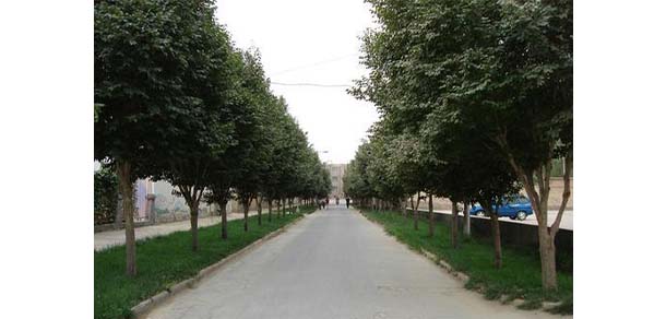 和田師范專科學(xué)校
