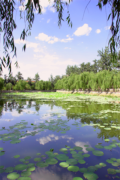 河北經(jīng)貿(mào)大學