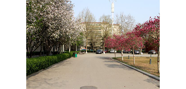石家莊職業(yè)技術學院